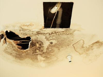 Professional water damage restoration services in Chula Vista - ShieldHaven